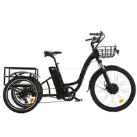 Triciclo Eléctrico ET 02