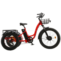 Triciclo Eléctrico ET01
