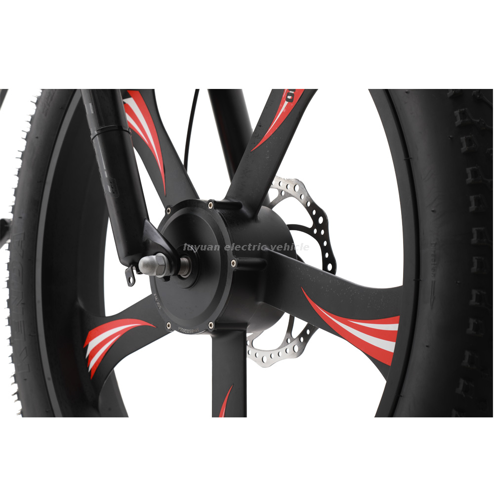Bicicleta eléctrica EM 02WD